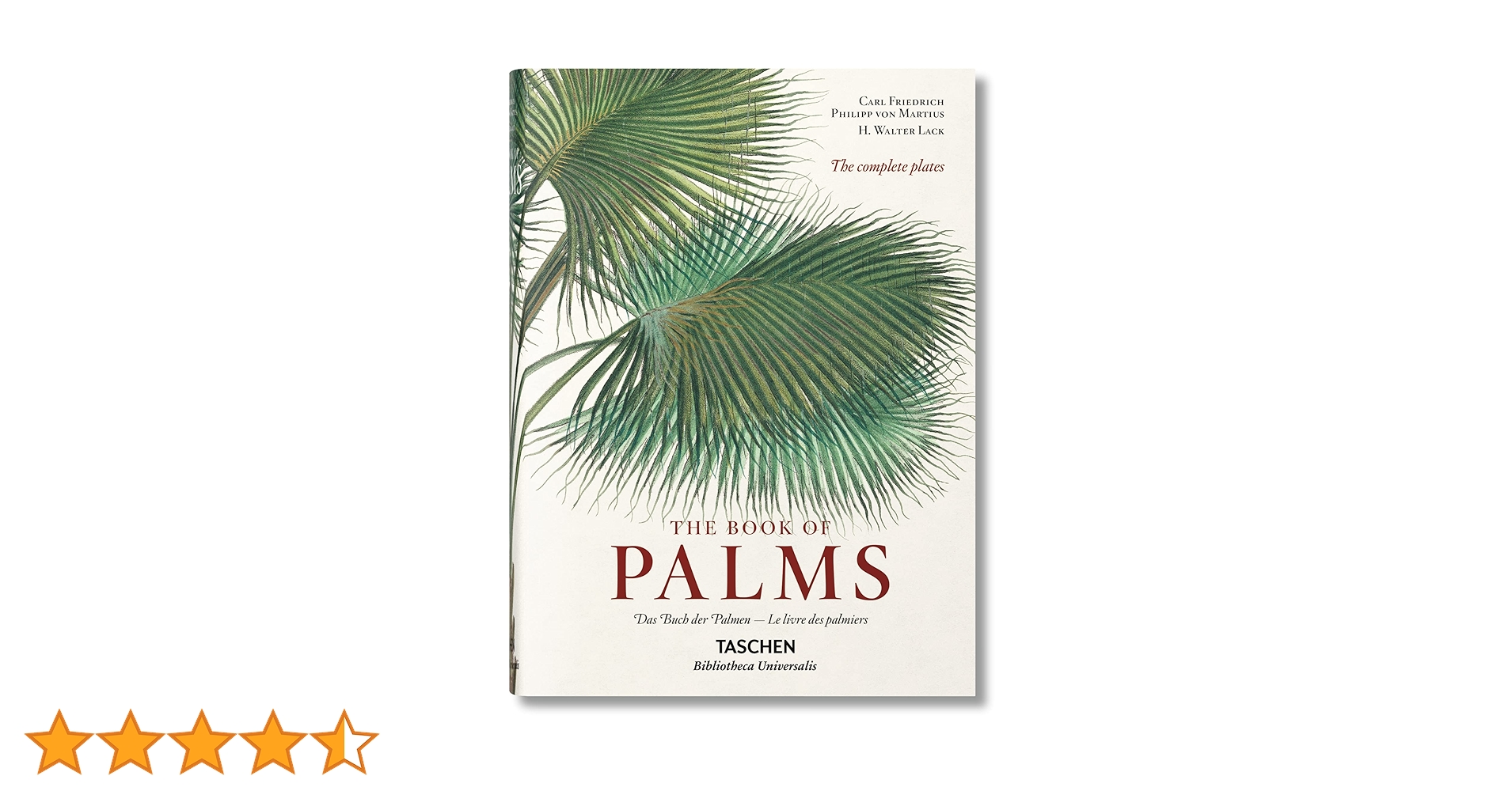 Amazon | Martius. The Book of Palms (Bibliotheca Universalis